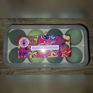 DaizyKat Blend It Collection NWOT - Multicolor Blending Sponges Set